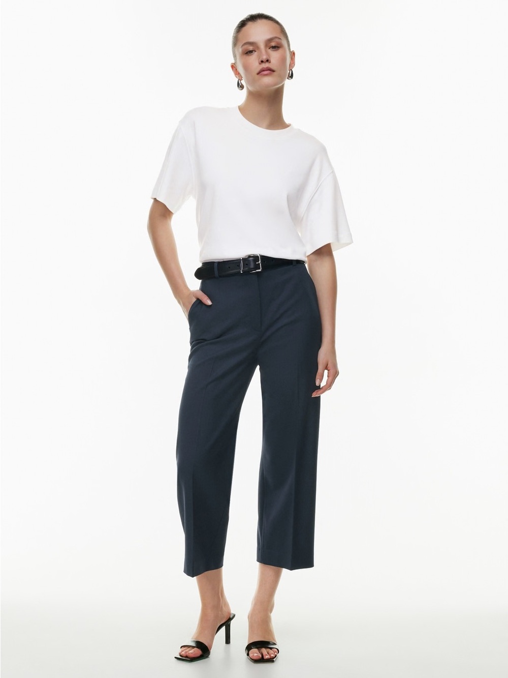 Aritzia Babaton Sz 2 Agency Black Cropped Tailored Career Pants